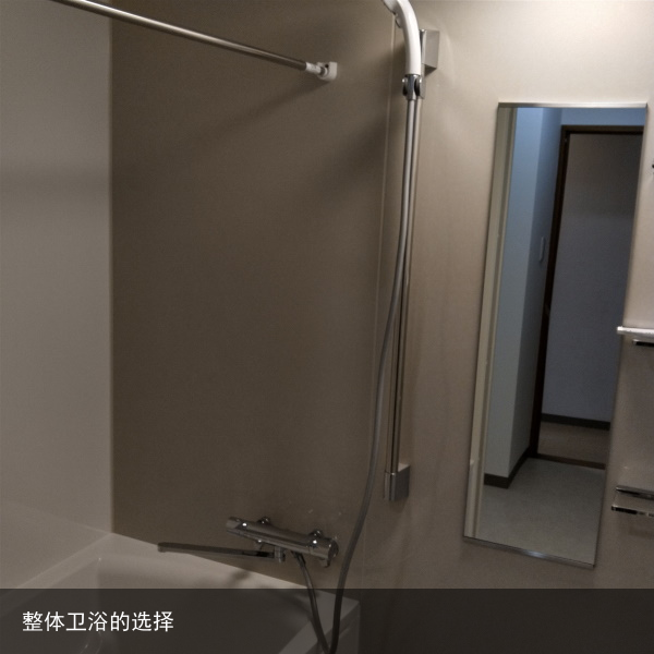 整体卫浴的选择