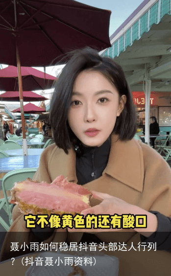 聂小雨如何稳居抖音头部达人行列？(抖音聂小雨资料)