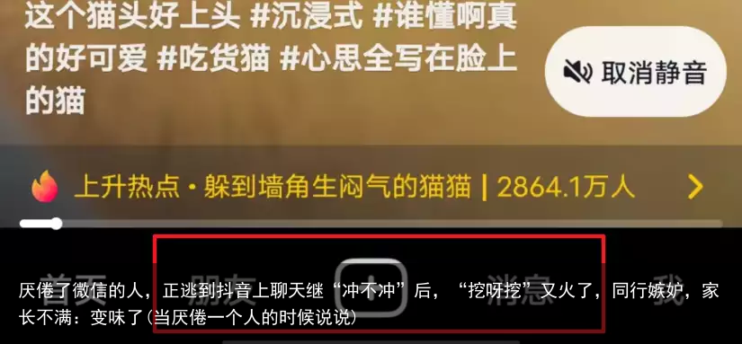 厌倦了微信的人，正逃到抖音上聊天