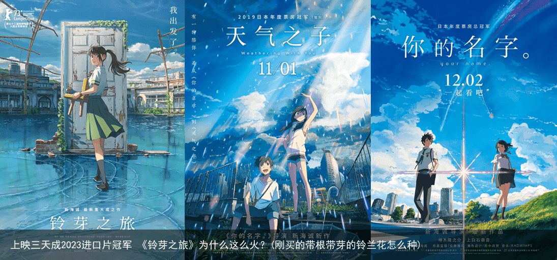 上映三天成2023进口片冠军 《铃芽之旅》为什么这么火？(刚买的带根带芽的铃兰花怎么种)