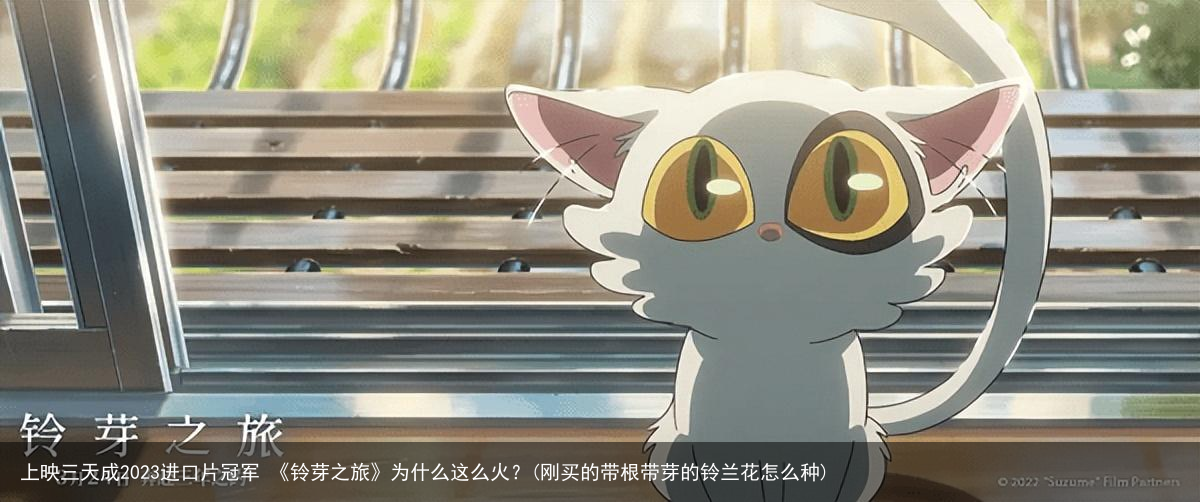 上映三天成2023进口片冠军 《铃芽之旅》为什么这么火？(刚买的带根带芽的铃兰花怎么种)
