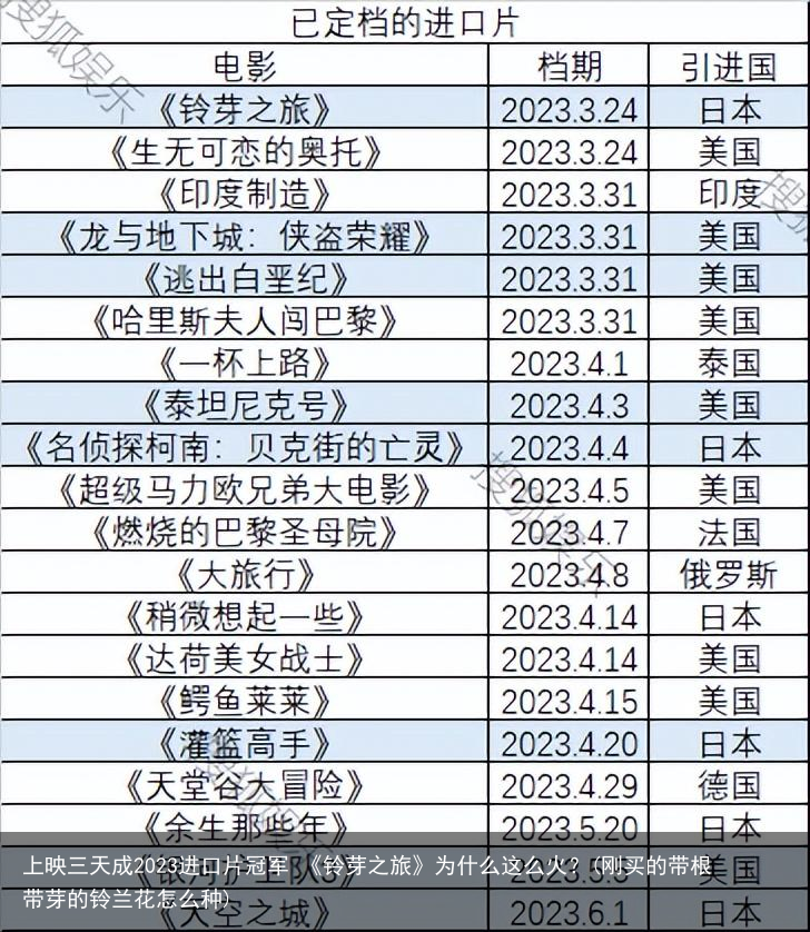 上映三天成2023进口片冠军 《铃芽之旅》为什么这么火？(刚买的带根带芽的铃兰花怎么种)