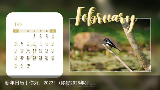 新年日历丨你好，2023！(你好2028年)