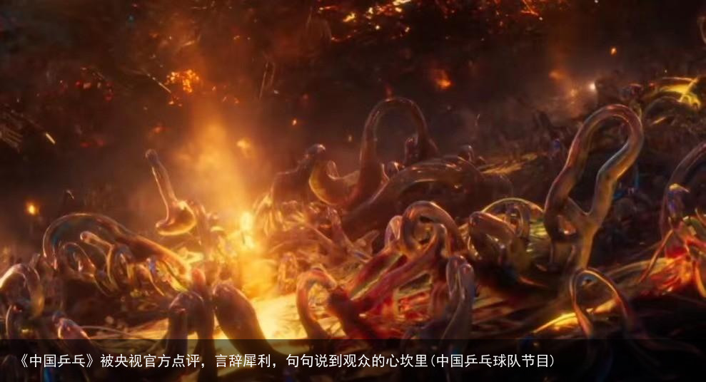 《中国乒乓》被央视官方点评，言辞犀利，句句说到观众的心坎里(中国乒乓球队节目)