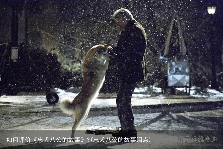 如何评价《忠犬八公的故事》?(忠犬八公的故事泪点)