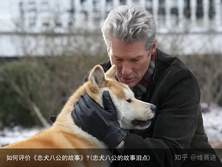 如何评价《忠犬八公的故事》?(忠犬八公的故事泪点)