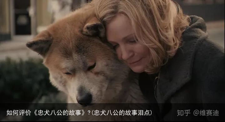 如何评价《忠犬八公的故事》?(忠犬八公的故事泪点)