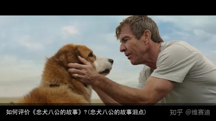 如何评价《忠犬八公的故事》?(忠犬八公的故事泪点)