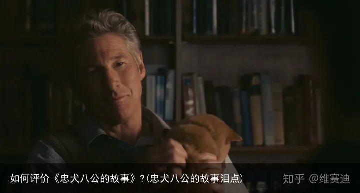 如何评价《忠犬八公的故事》?(忠犬八公的故事泪点)