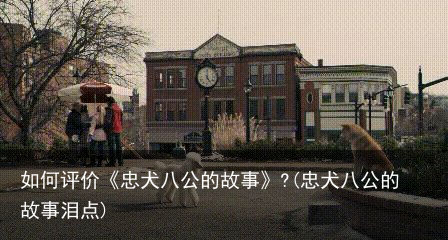 如何评价《忠犬八公的故事》?(忠犬八公的故事泪点)