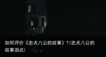 如何评价《忠犬八公的故事》?(忠犬八公的故事泪点)
