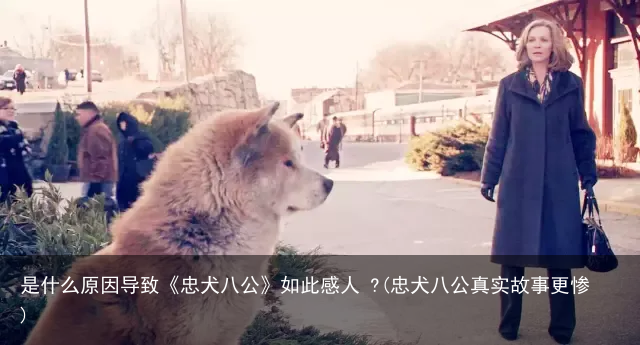 是什么原因导致《忠犬八公》如此感人 ?(忠犬八公真实故事更惨)