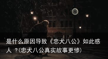 是什么原因导致《忠犬八公》如此感人 ?(忠犬八公真实故事更惨)
