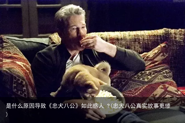 是什么原因导致《忠犬八公》如此感人 ?(忠犬八公真实故事更惨)