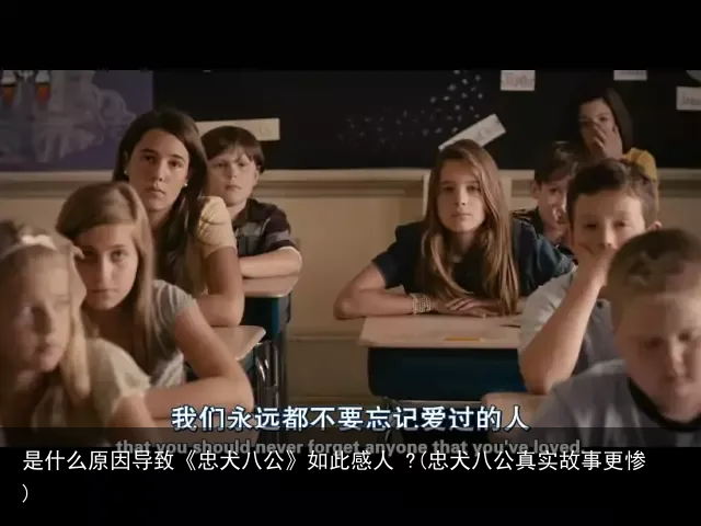 是什么原因导致《忠犬八公》如此感人 ?(忠犬八公真实故事更惨)