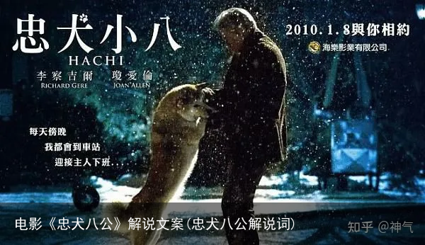 电影《忠犬八公》解说文案(忠犬八公解说词)