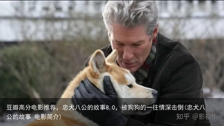 豆瓣高分电影推荐，忠犬八公的故事8.0，被狗狗的一往情深击倒(忠犬八公的故事 电影简介)