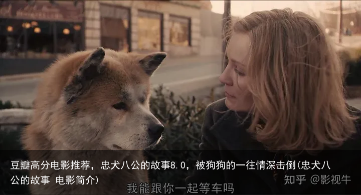 豆瓣高分电影推荐，忠犬八公的故事8.0，被狗狗的一往情深击倒(忠犬八公的故事 电影简介)