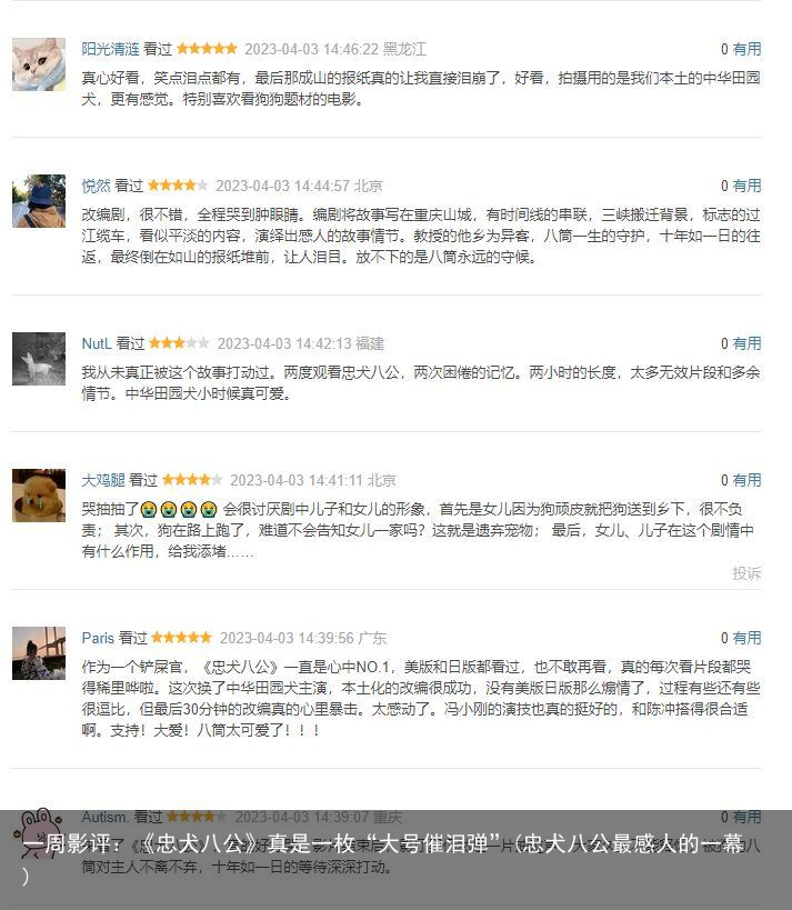 一周影评：《忠犬八公》真是一枚“大号催泪弹”(忠犬八公最感人的一幕)