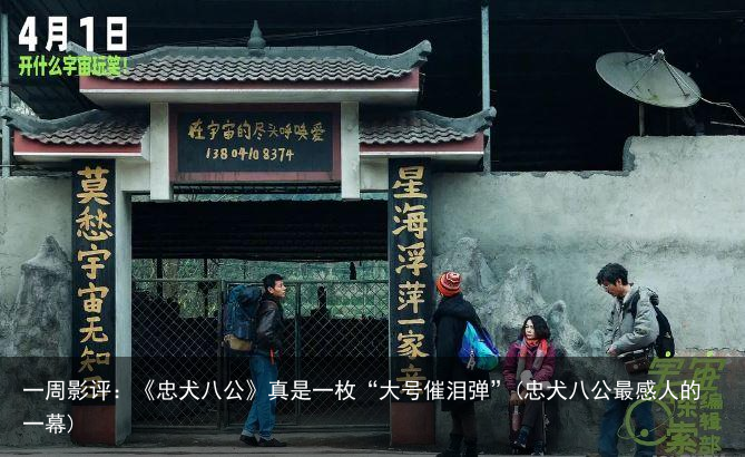 一周影评：《忠犬八公》真是一枚“大号催泪弹”(忠犬八公最感人的一幕)