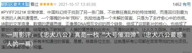 一周影评：《忠犬八公》真是一枚“大号催泪弹”(忠犬八公最感人的一幕)