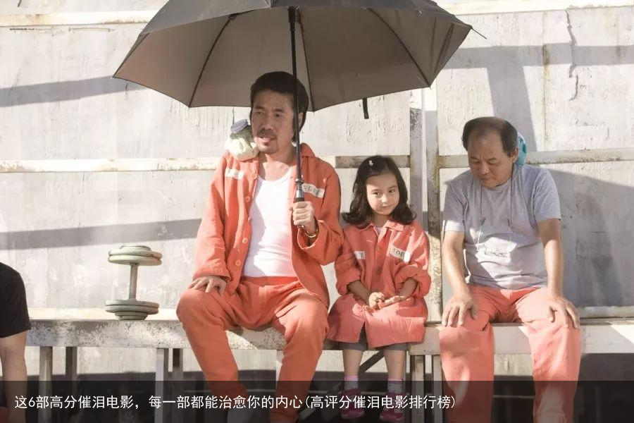 这6部高分催泪电影，每一部都能治愈你的内心(高评分催泪电影排行榜)