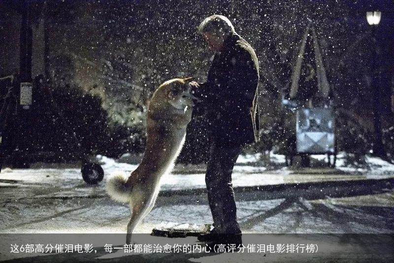 这6部高分催泪电影，每一部都能治愈你的内心(高评分催泪电影排行榜)
