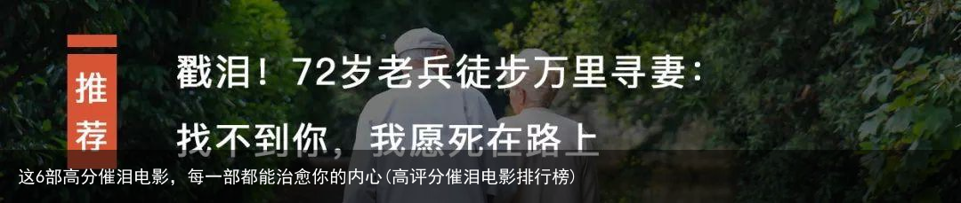 这6部高分催泪电影，每一部都能治愈你的内心(高评分催泪电影排行榜)