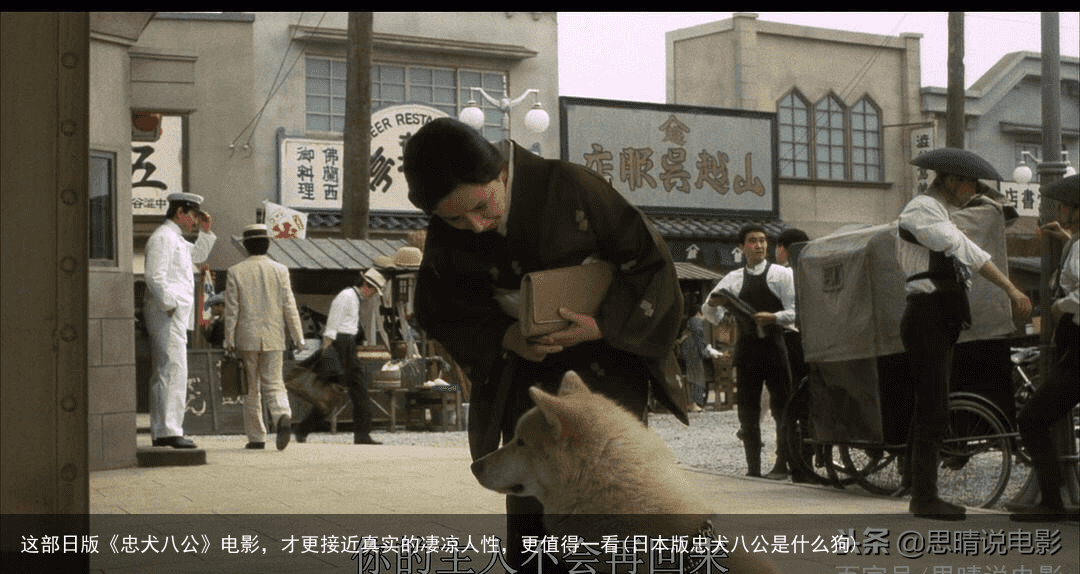 这部日版《忠犬八公》电影，才更接近真实的凄凉人性，更值得一看(日本版忠犬八公是什么狗)
