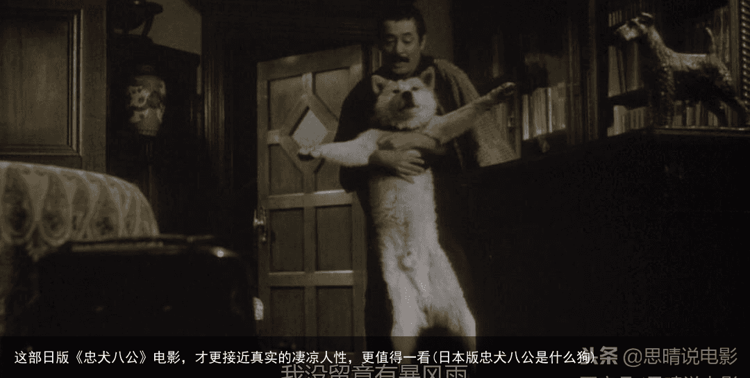 这部日版《忠犬八公》电影，才更接近真实的凄凉人性，更值得一看(日本版忠犬八公是什么狗)