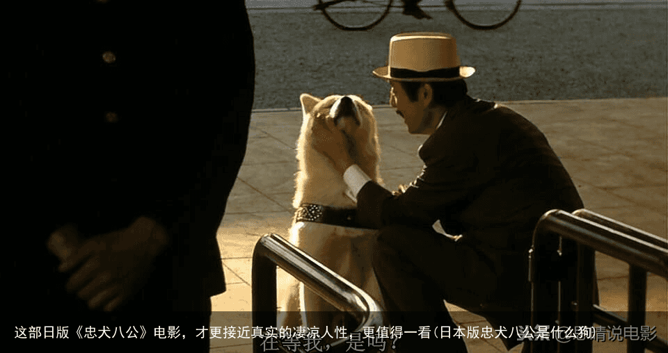 这部日版《忠犬八公》电影，才更接近真实的凄凉人性，更值得一看(日本版忠犬八公是什么狗)
