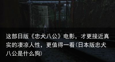这部日版《忠犬八公》电影，才更接近真实的凄凉人性，更值得一看(日本版忠犬八公是什么狗)