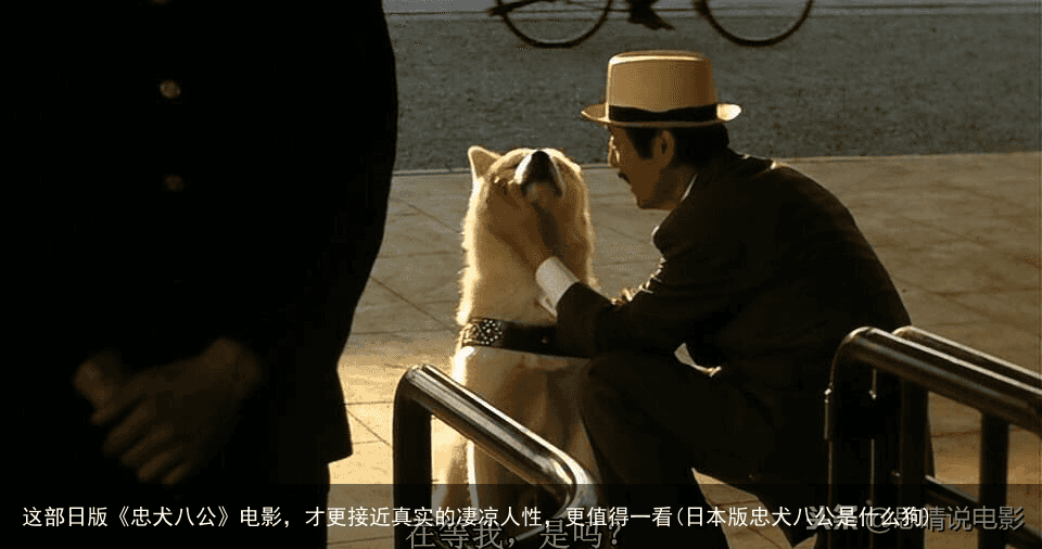 这部日版《忠犬八公》电影，才更接近真实的凄凉人性，更值得一看(日本版忠犬八公是什么狗)