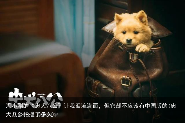 冯小刚的《忠犬八公》让我泪流满面，但它却不应该有中国版的(忠犬八公拍摄了多久)