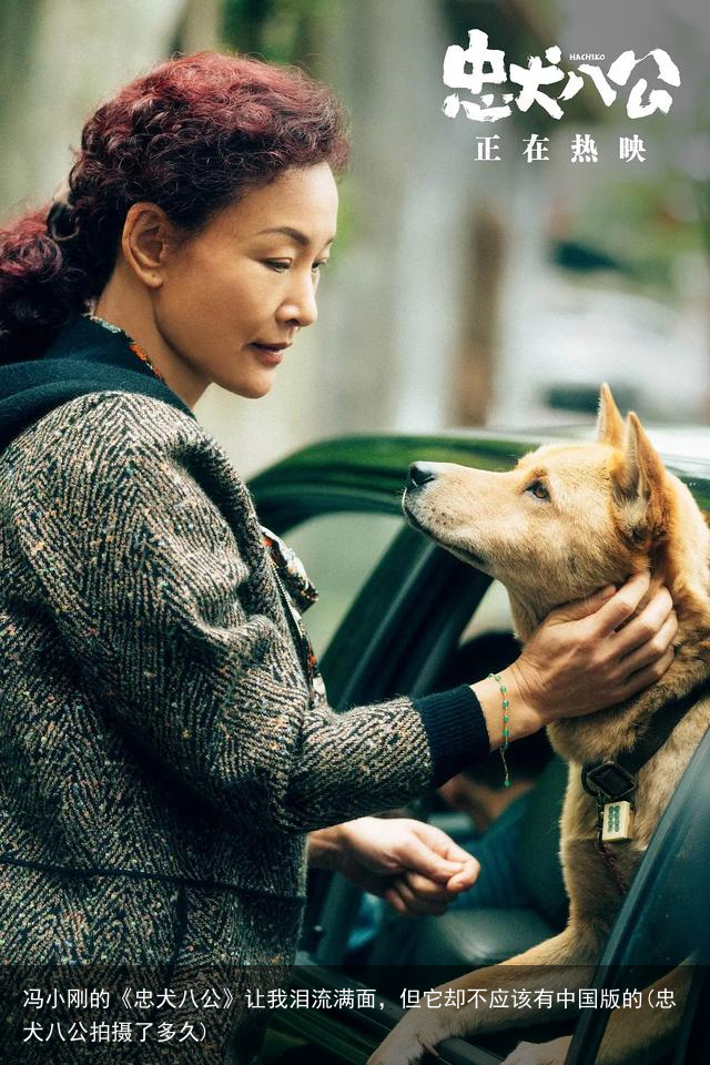 冯小刚的《忠犬八公》让我泪流满面，但它却不应该有中国版的(忠犬八公拍摄了多久)
