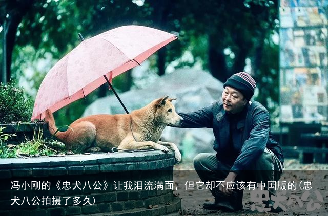 冯小刚的《忠犬八公》让我泪流满面，但它却不应该有中国版的(忠犬八公拍摄了多久)