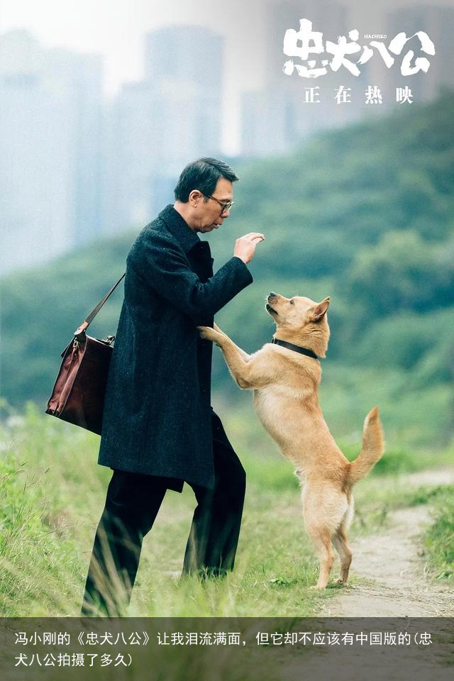 冯小刚的《忠犬八公》让我泪流满面，但它却不应该有中国版的(忠犬八公拍摄了多久)