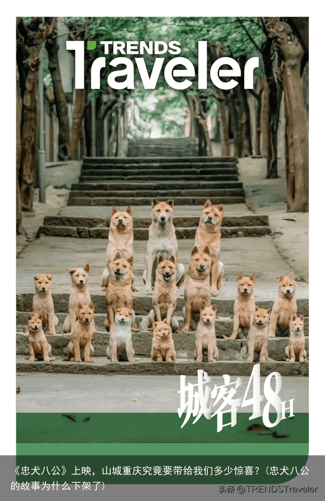 《忠犬八公》上映，山城重庆究竟要带给我们多少惊喜？(忠犬八公的故事为什么下架了)