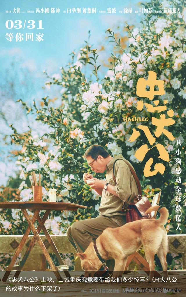 《忠犬八公》上映，山城重庆究竟要带给我们多少惊喜？(忠犬八公的故事为什么下架了)