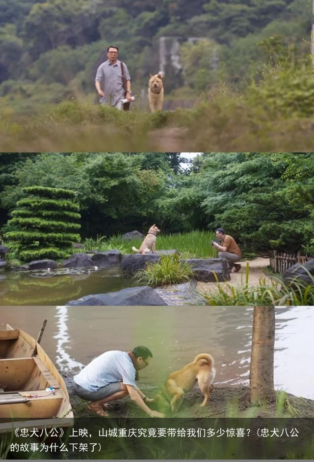 《忠犬八公》上映，山城重庆究竟要带给我们多少惊喜？(忠犬八公的故事为什么下架了)