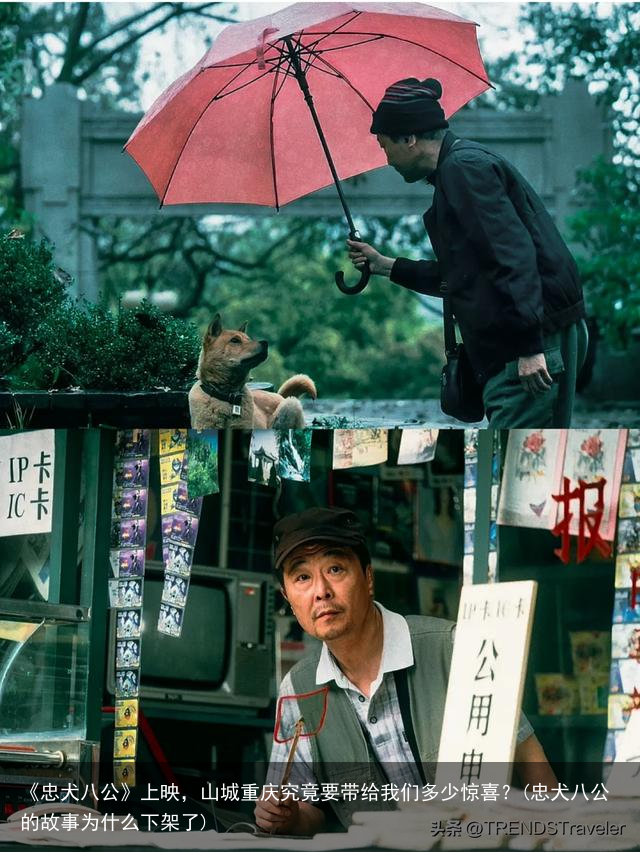 《忠犬八公》上映，山城重庆究竟要带给我们多少惊喜？(忠犬八公的故事为什么下架了)