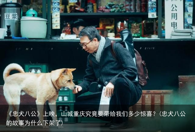 《忠犬八公》上映，山城重庆究竟要带给我们多少惊喜？(忠犬八公的故事为什么下架了)