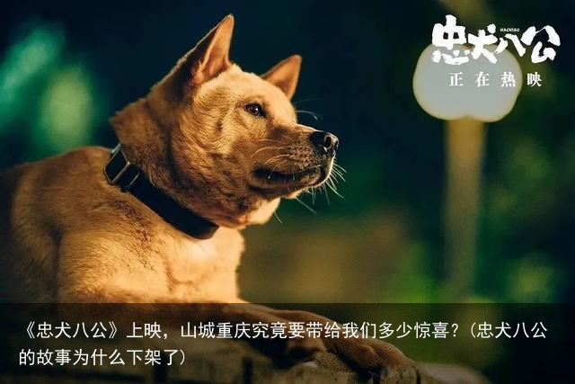 《忠犬八公》上映，山城重庆究竟要带给我们多少惊喜？(忠犬八公的故事为什么下架了)