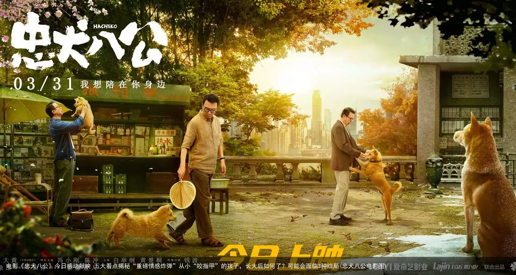 电影《忠犬八公》今日感动献映 五大看点揭秘“重磅情感炸弹”