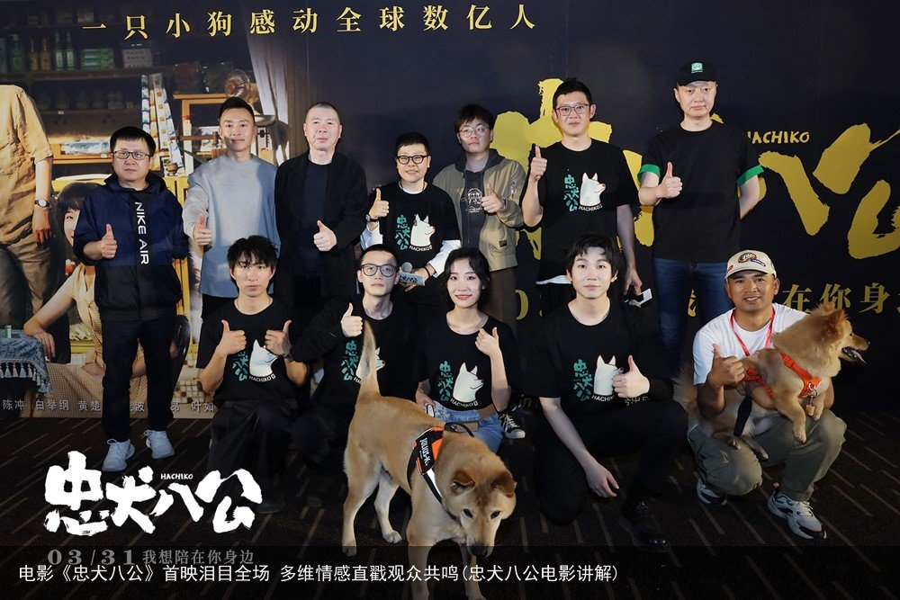 电影《忠犬八公》首映泪目全场 多维情感直戳观众共鸣(忠犬八公电影讲解)