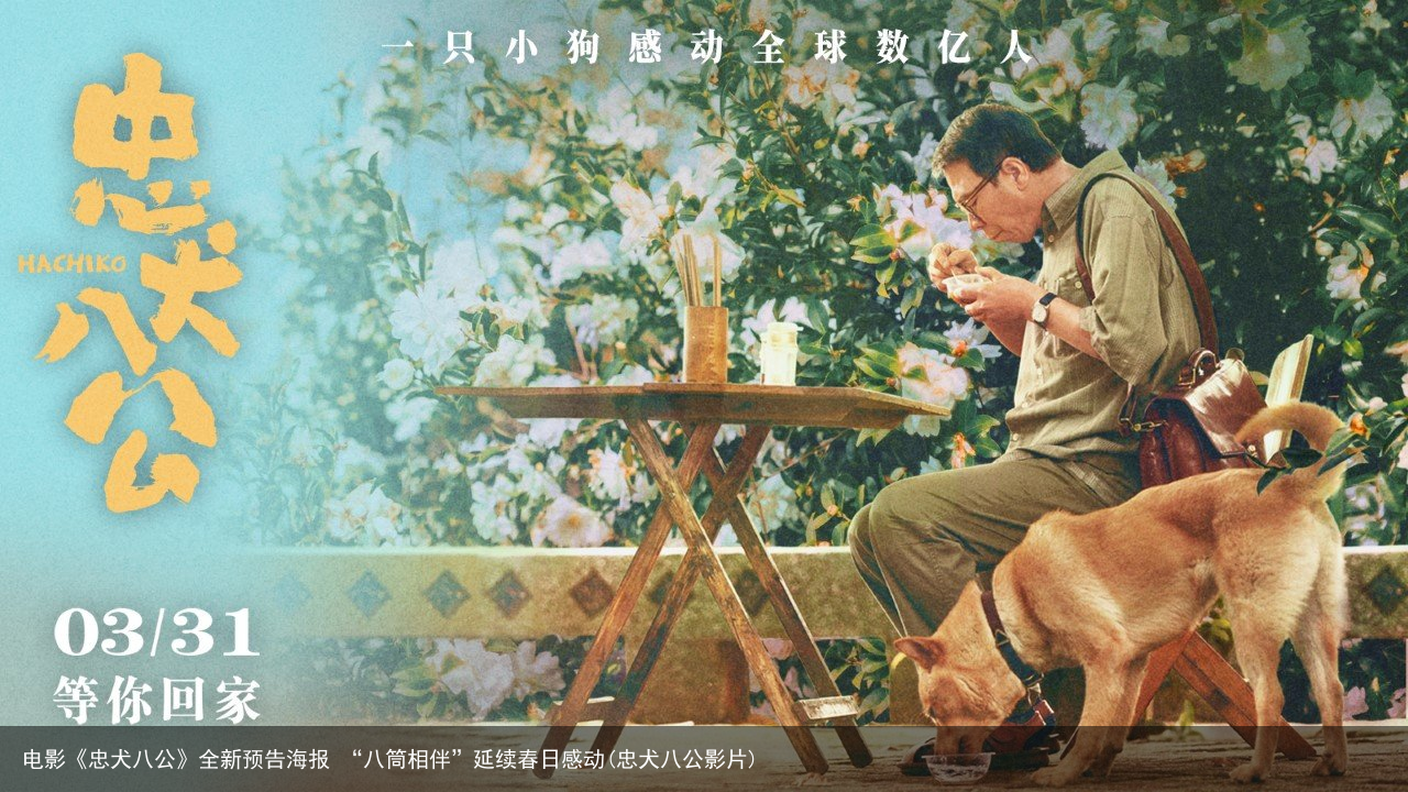 电影《忠犬八公》全新预告海报 “八筒相伴”延续春日感动(忠犬八公影片)