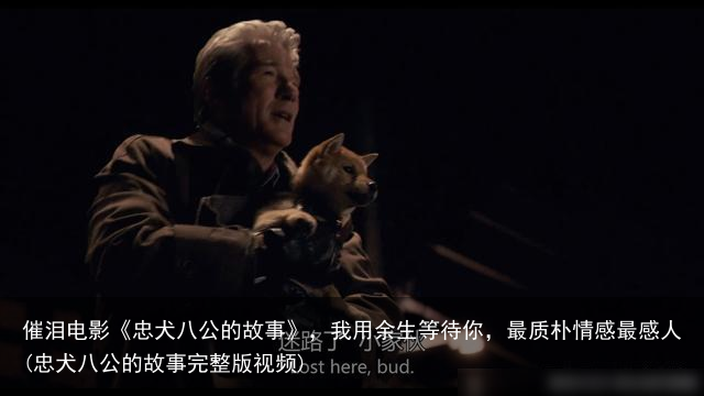 催泪电影《忠犬八公的故事》，我用余生等待你，最质朴情感最感人(忠犬八公的故事完整版视频)