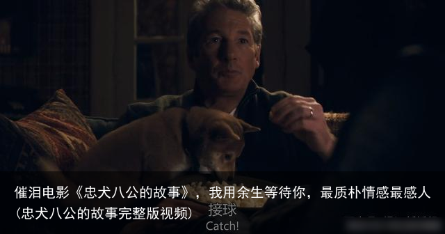 催泪电影《忠犬八公的故事》，我用余生等待你，最质朴情感最感人(忠犬八公的故事完整版视频)