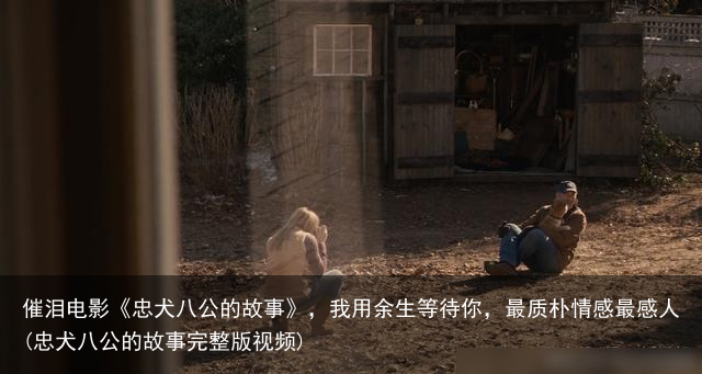 催泪电影《忠犬八公的故事》，我用余生等待你，最质朴情感最感人(忠犬八公的故事完整版视频)