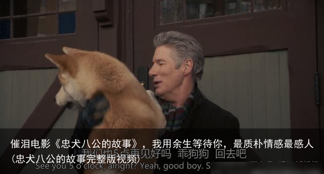 催泪电影《忠犬八公的故事》，我用余生等待你，最质朴情感最感人(忠犬八公的故事完整版视频)